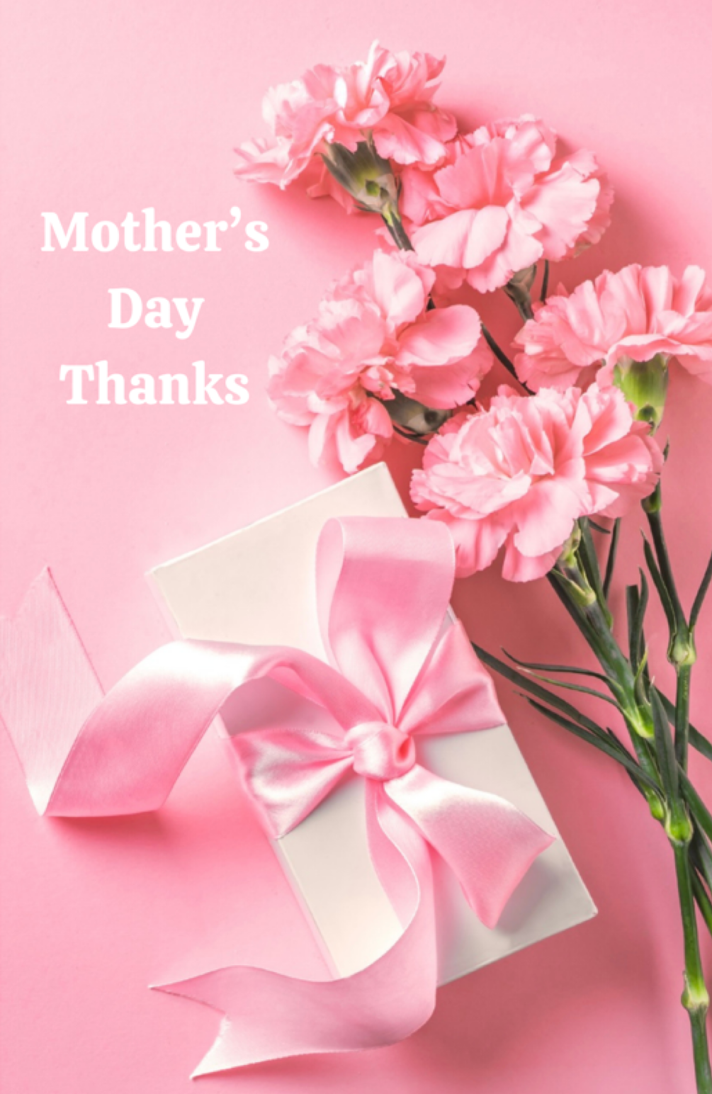 Mother’s Day Thanks With Pink Carnations And A Gift