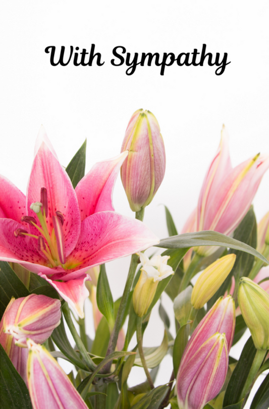 With Sympathy With Pink Lilies